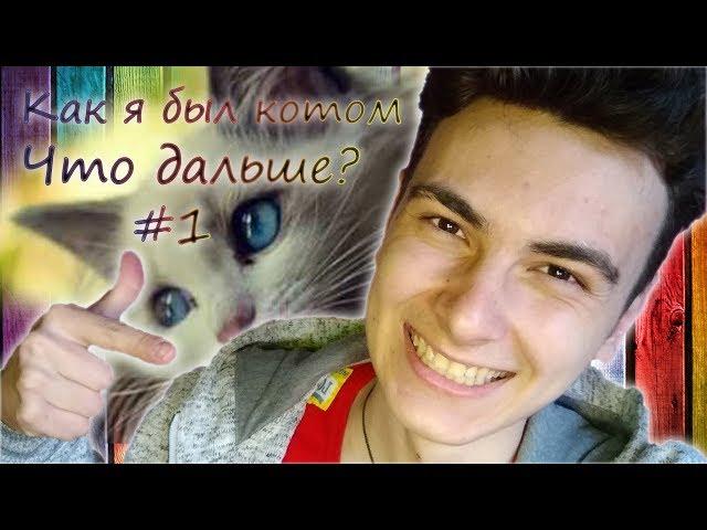 Как я был котом | Что дальше? #1 | PalAmik