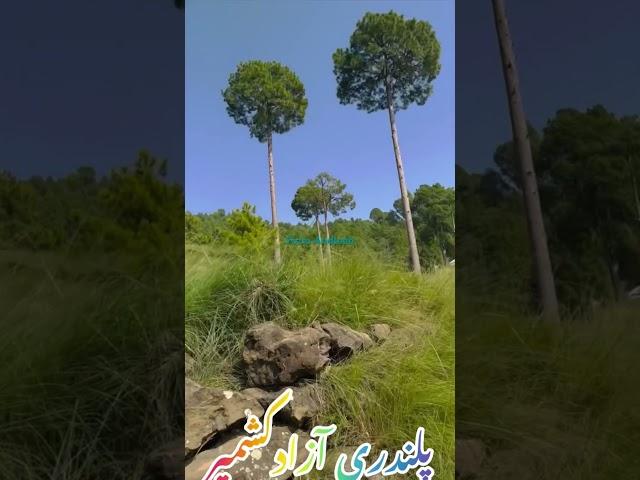 Plandri AJK / Beauty of Sudhonuti/ Capture Fozia Andleeb#viral #beautyofnature #kashmir #وادی #کشمیر