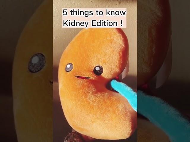 Urine for a treat! #kidney #shorts