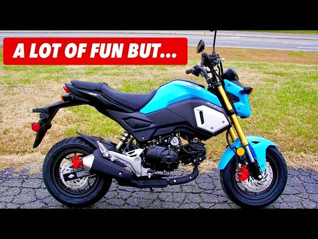 Watch This BEFORE You Buy a Honda Grom (First Ride Review Pros/Cons)