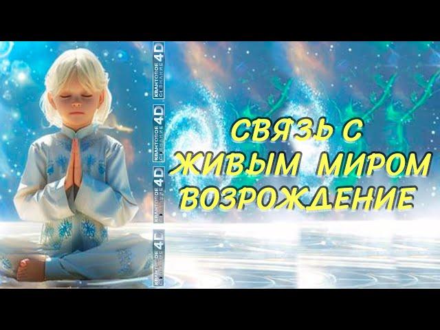 СВЯЗЬ С ЖИВЫМ  МИРОМ-ВОЗРОЖДЕНИЕ/ CONNECTION WITH THE LIVING WORLD - REVIVAL