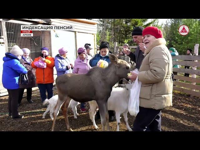 Индексация пенсий с 1 октября. 19-09-2024