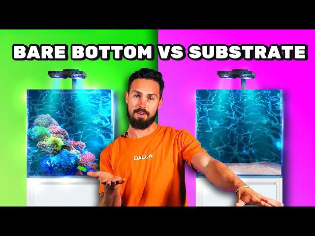 Substrate Or No Substrate? | Choices For Saltwater Tanks