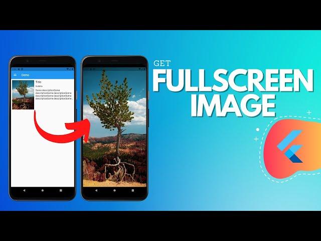 Get Full Screen Image in Flutter | Exploring Packages | Flutter Tutorials