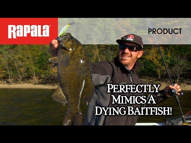 The Rapala® Shadow Rap®
