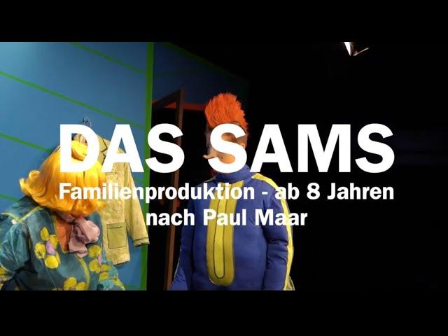 Das Sams - Premiere 15. November 2024