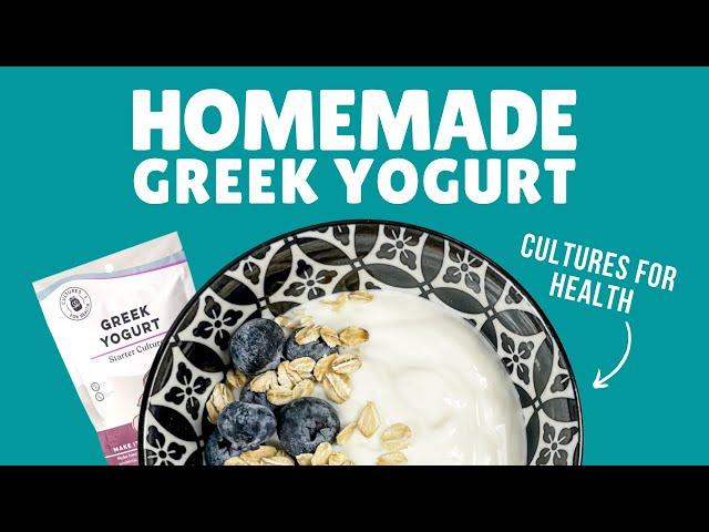 How to Make Homemade Greek Yogurt with Cultures for Health Starter Culture