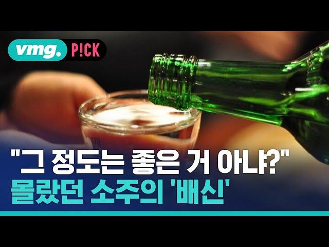 "한두 잔은 몸에 좋은 거 아냐?" 몰랐던 소주의 배신 / 비머pick / 비디오머그