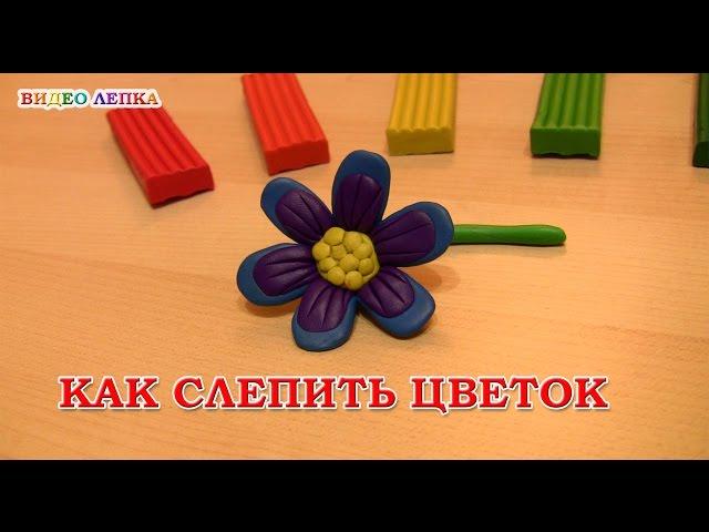 Цветок из пластилина | Видео Лепка