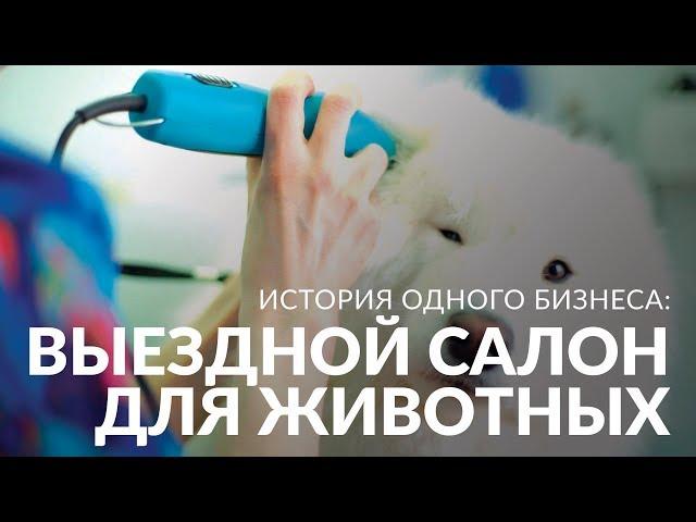 Мобильный салон красоты для животных