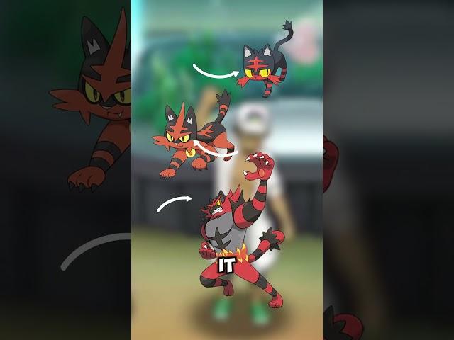 KITTLE! The unofficial pre evolution to Litten #pokemon #litten #pokemonart