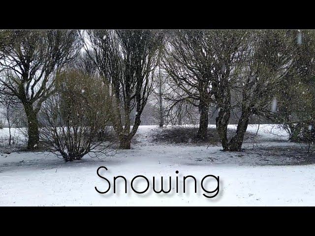 SNOWING / relaxing ,calming and gentle