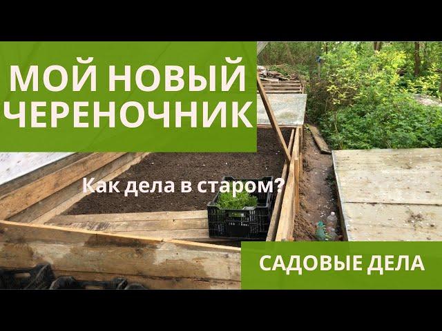 МОЙ НОВЫЙ ЧЕРЕНОЧНИК И ЧЕРЕНКИ В СТАРОМ ЧЕРЕНОЧНИКЕ | САДОВЫЕ ДЕЛА #череночник #черенкование