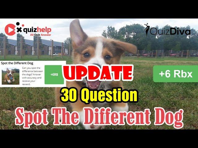 Spot The Different Dog Quiz Answers 100% | Earn +6 Rbx | Quiz Diva