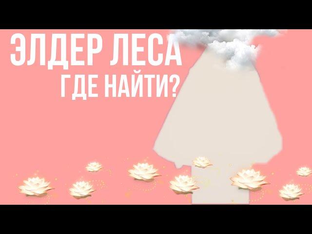 ГДЕ НАЙТИ ПРИЧЕСКУ ЛЕСА?! ЭЛДЕР ЛЕСА В SKY CHILDREN OF LIGHT #Sky