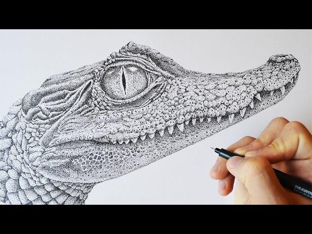 The Caiman - Stippling Timelapse