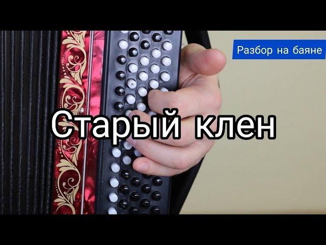 Старый клен. Разбор на баяне. #баянист_Евгений_Попов