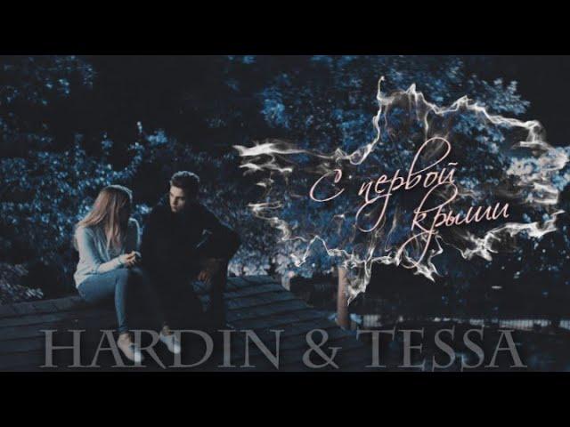 HARDIN & TESSA || С ПЕРВОЙ КРЫШИ [HBD XAnnDreamyX]