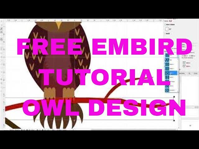 Embird Class 1:  BEGINNER EMBIRD DIGITIZING Step by Step owl design