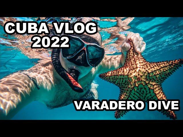 Письмо Потомкам - CUBA VLOG 2022. VARADERO DIVE