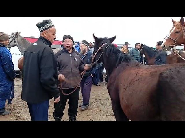 Асп бозори Ленски Раен 20-ноябр навори тоза.