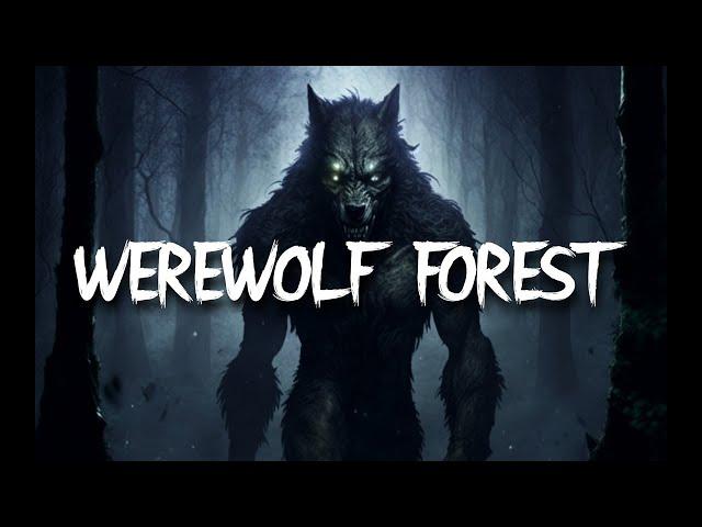 WEREWOLF AMBIENCE | 3 HOURS OF SPINE CHILLING AMBIENCE | FOR D&D, STORYTELLING, WORK, STUDY