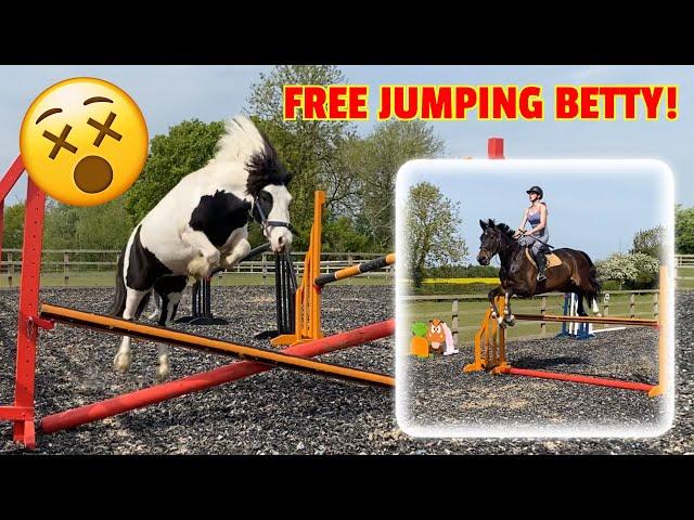 FREE JUMPING BETTY / Dyanne preparing for Windsor