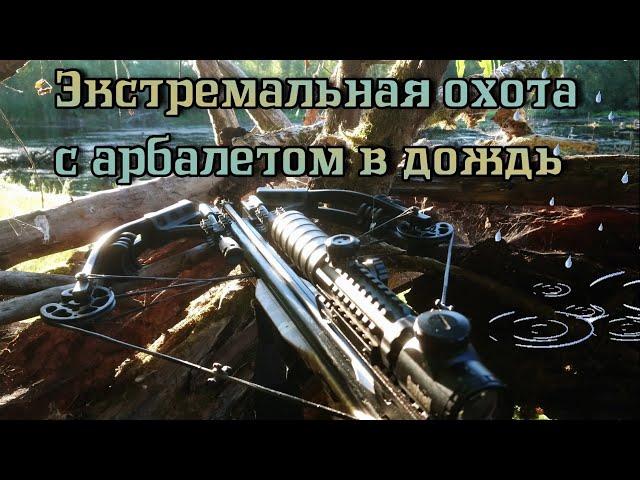 Охота на утку с арбалетом в дождь. Готовлю грибной суп из боровиков и лисичек.