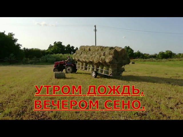 It rains, and we carry hay with a minitractor. Harvesting hay in the village.