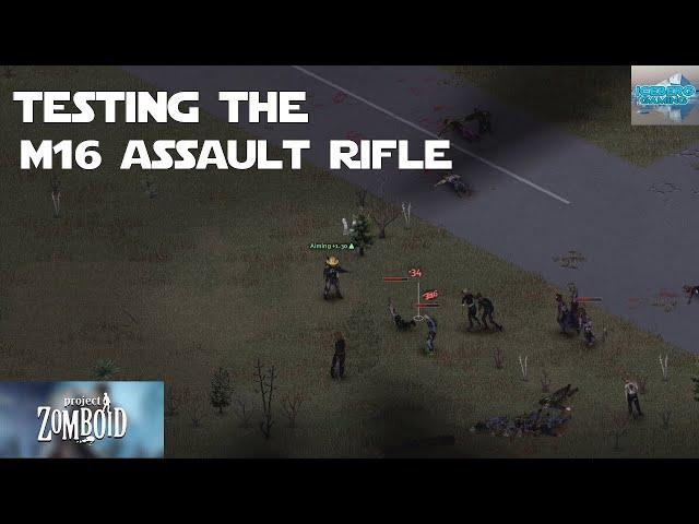 Testing Out the M16 Assault Rifle in Project Zomboid