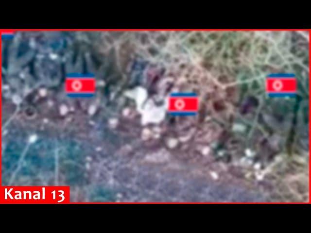 Ukrainian drone accidentally captured footage of North Korean military that Russia tried to hide