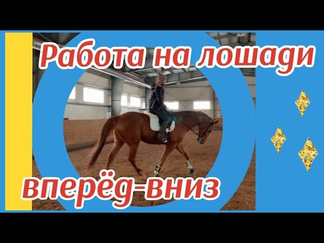 РАБОТА НА ЛОШАДИ ВПЕРЁД-ВНИЗ