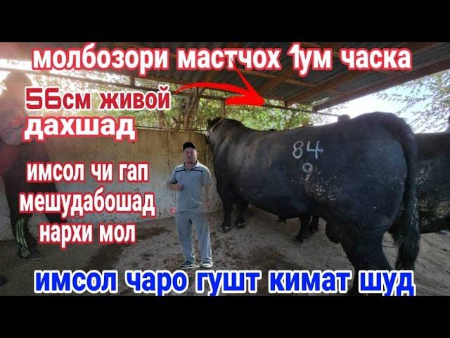 МОБОЗОРИ НОХИЯИ МАСТЧОХ