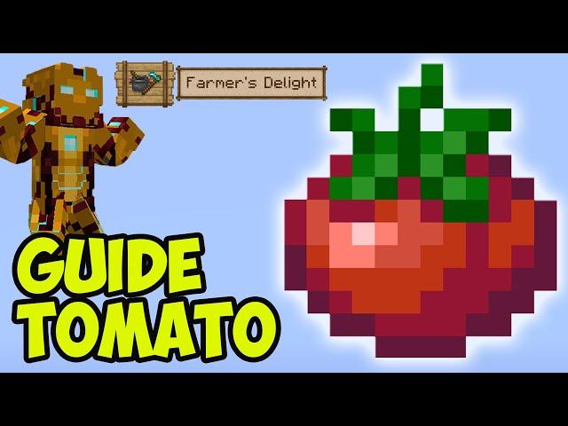 Minecraft Farmer's Delight TOMATO (FULL GUIDE) (2024) | Farmer's Delight TOMATO ROPE