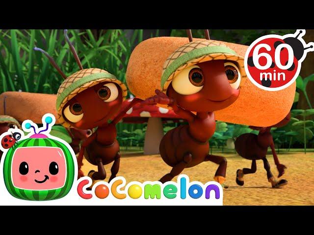 The Ants Go Marching | @CoComelon | Kids Songs | Nursery Rhymes | Sleep Baby Songs