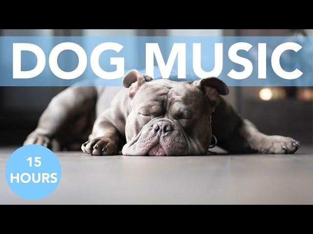 [NO ADS] ASMR Sleep Music for Anxious Dogs!