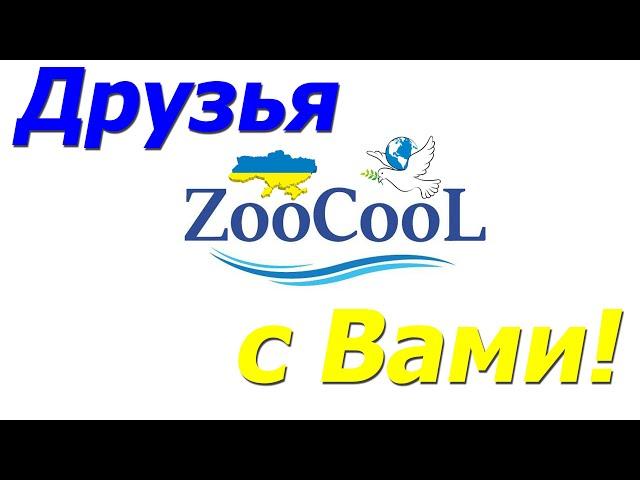 Друзья всем привет, канал Зоокул с Вами !