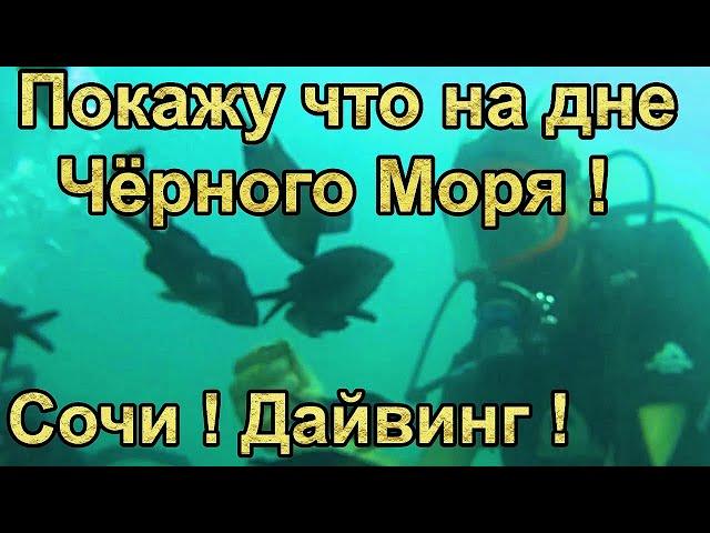 Покажу что на Дне Чёрного Моря ? Сочи ! Дайвинг !