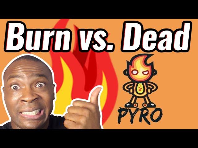 PYRO TOKEN - Dead Wallet vs. True Burns (Explained) - PYRO CRYPTO