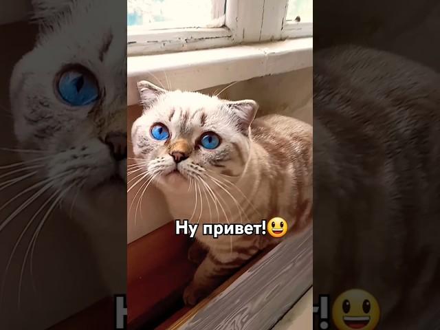 Новое видео! Надеюсь вы не пожалеешь( простите что так редко выходят.. спасибо что остаётесь со мной