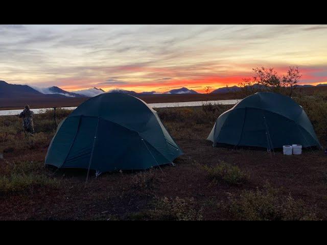 Caribou Drop Camp DIY Hunt Brooks Range Alaska 2020