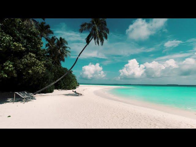 4K Sun Siyam Iru Fushi - tour on luxury resort island in Maldives