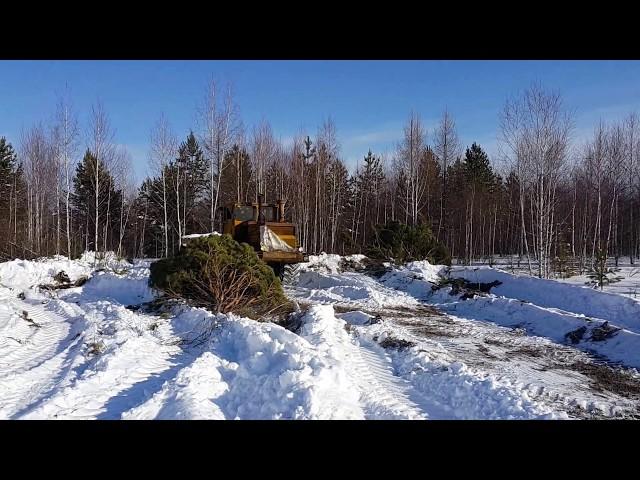 Расчистка заросшего поля зимой. Поднятие залежных земель.