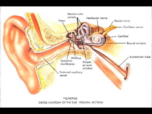 Ear ringing sound effect