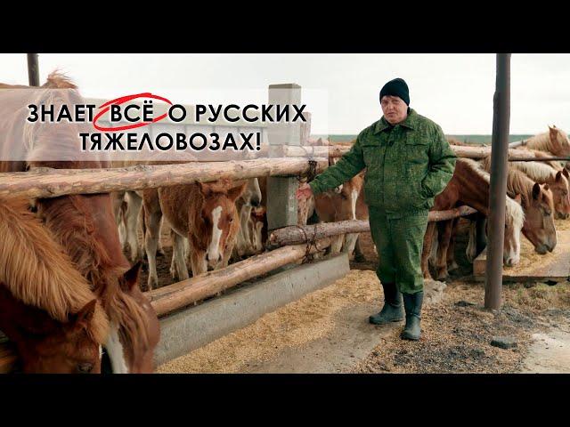  Витас – не певец, а жеребец! / Где Президент покупал коня? / Русские тяжеловозы покоряют Беларусь!
