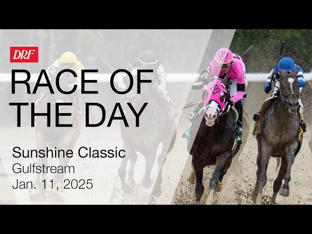 DRF Saturday Race of the Day | Sunshine Classic | January 11, 2025