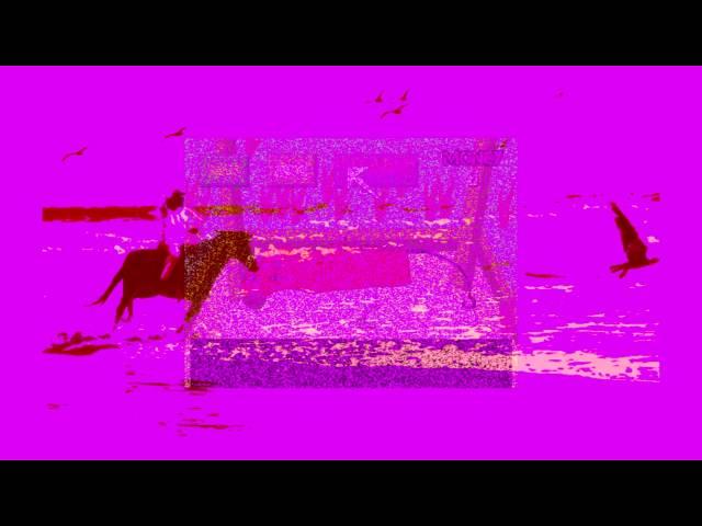 TICKET horse