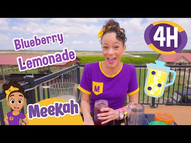 Meekah Makes Lemonade!! | 4 HOURS OF MEEKAH! | Educational Videos for Kids