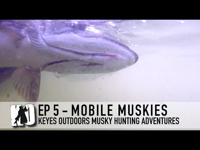 Mobile Muskies - Keyes Outdoors Musky Hunting Adventures