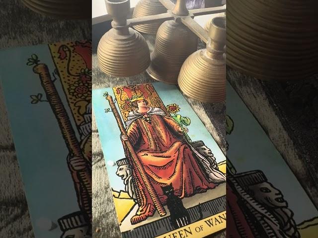 Celine Dion Tarot & Oracle #tarot #celinedion #celiondiontarot